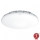 Steinel 068042 - LED Kattovalo anturilla RS PRO S30 SC 25,8W/230V 4000K