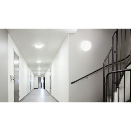 Steinel 068042 - LED Kattovalo anturilla RS PRO S30 SC 25,8W/230V 4000K