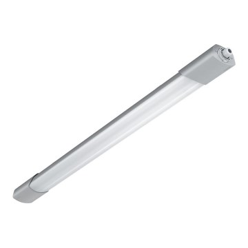 Steinel 079161 - LED Kestävä valo anturilla ja hätämoduuli RS PRO 5100 SC LED/31W/230V IP66 4000K