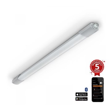 Steinel 079338-LED Kestävä valo sensorilla RS PRO5150 SC 5C 42W/230V IP66