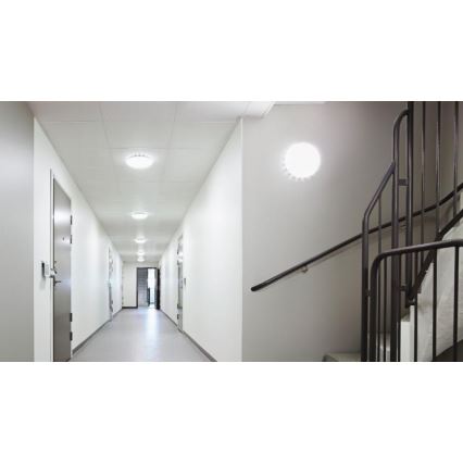 Steinel 079772 - LED Ulkokattovalo sensorilla RS PRO S20 SC LED/15,7W/230V IP65 4000K