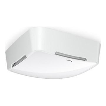 Steinel 081850 - Multisensori True Presence V2 IP AP WS valkoinen