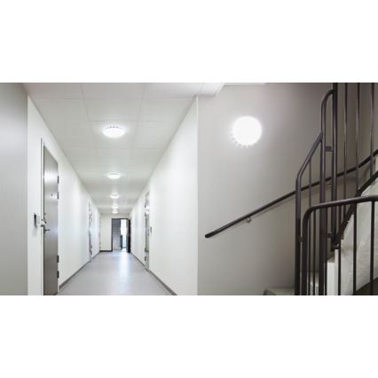 Steinel 081928 - SET 5x LED Kattovalo sensorilla RS PRO S10 SC LED/9,1W/230V 4000K