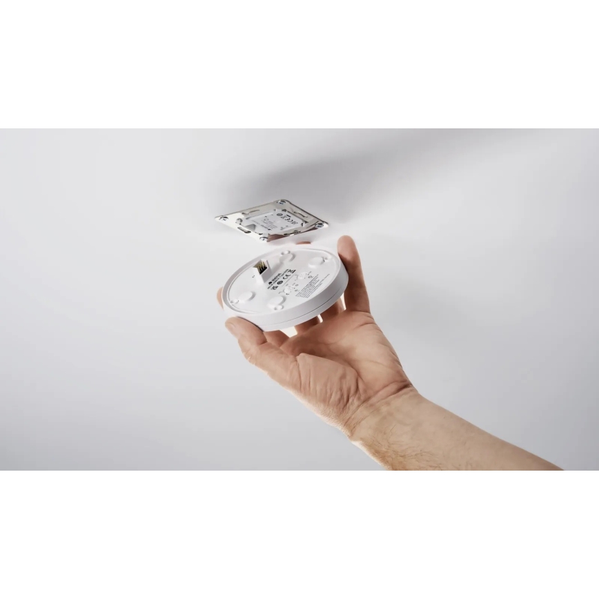 Steinel 087975 - Liiketunnistin upotettu läsnäolotunnistimella PD-8 ECO KNX 360° valkoinen