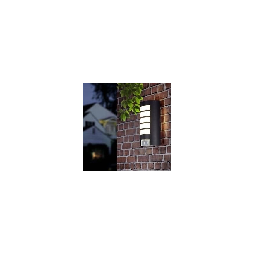 STEINEL 657819 - Ulkovalo anturilla L12 1xE27/60W/230V IP44