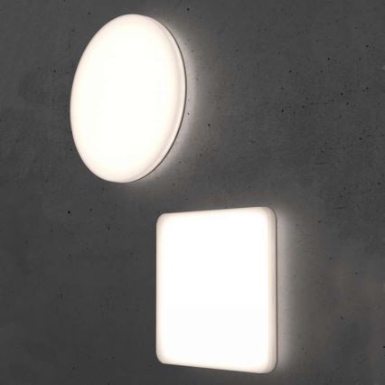 Steinel 067816 - LED Himmennettävä kattovalo sensorilla RS PRO R10 BASIC SC LED/8,5W/230V 3000K IP40