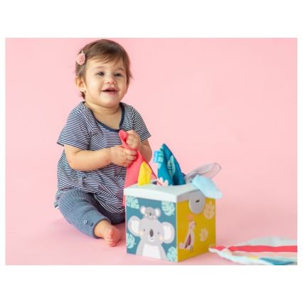 Taf Toys - Nenäliinalaatikko KIMMI koala