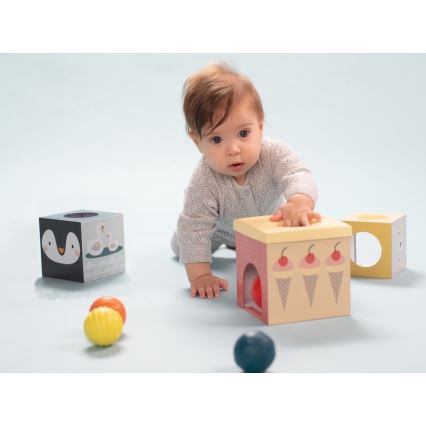 Taf Toys - Interaktiivinen leikkisarja pohjoisnapa