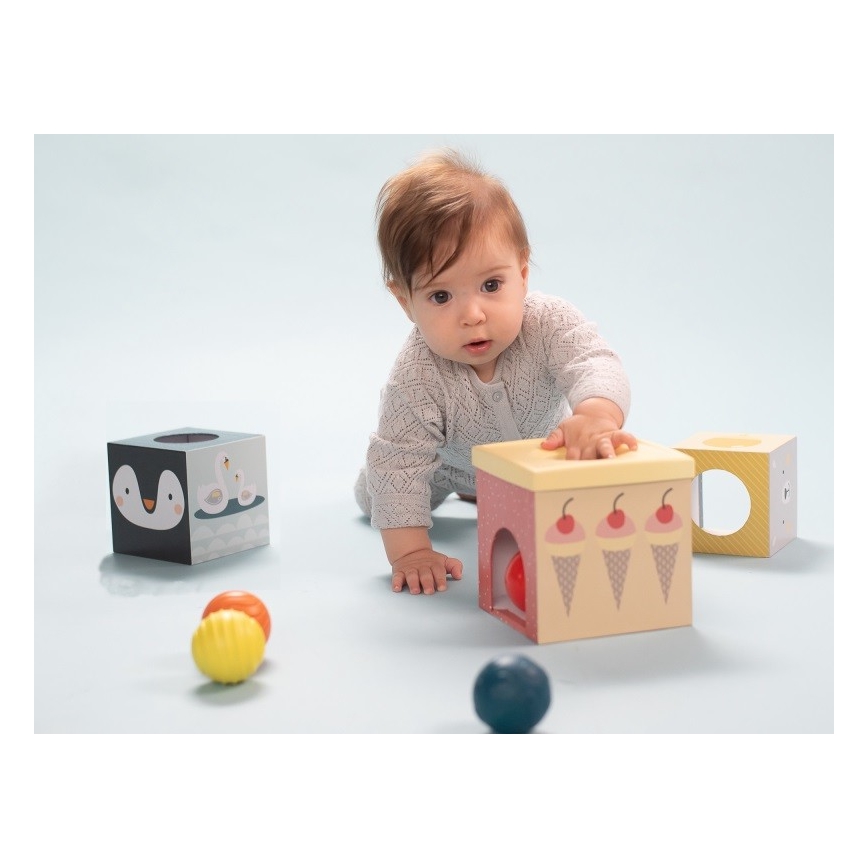 Taf Toys - Interaktiivinen leikkisarja pohjoisnapa