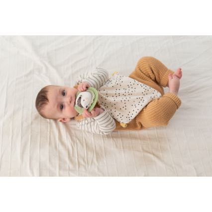 Taf Toys - Lahjarasia HELLO BABY