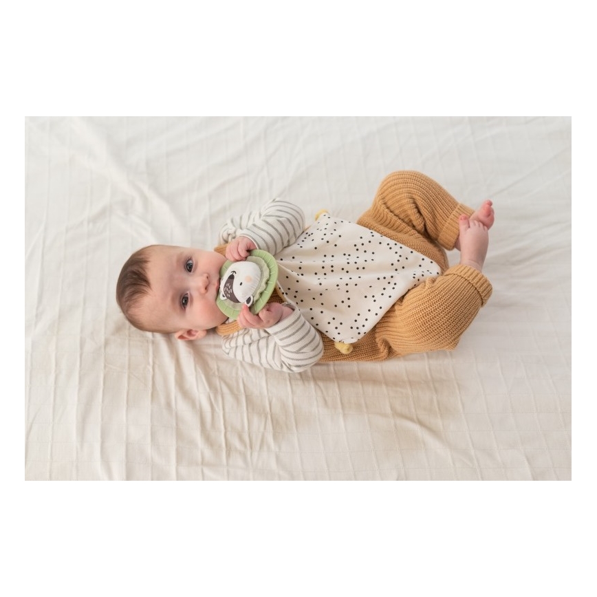Taf Toys - Lahjarasia HELLO BABY