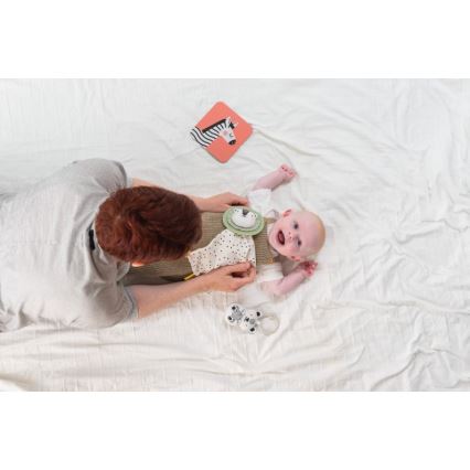 Taf Toys - Lahjarasia HELLO BABY