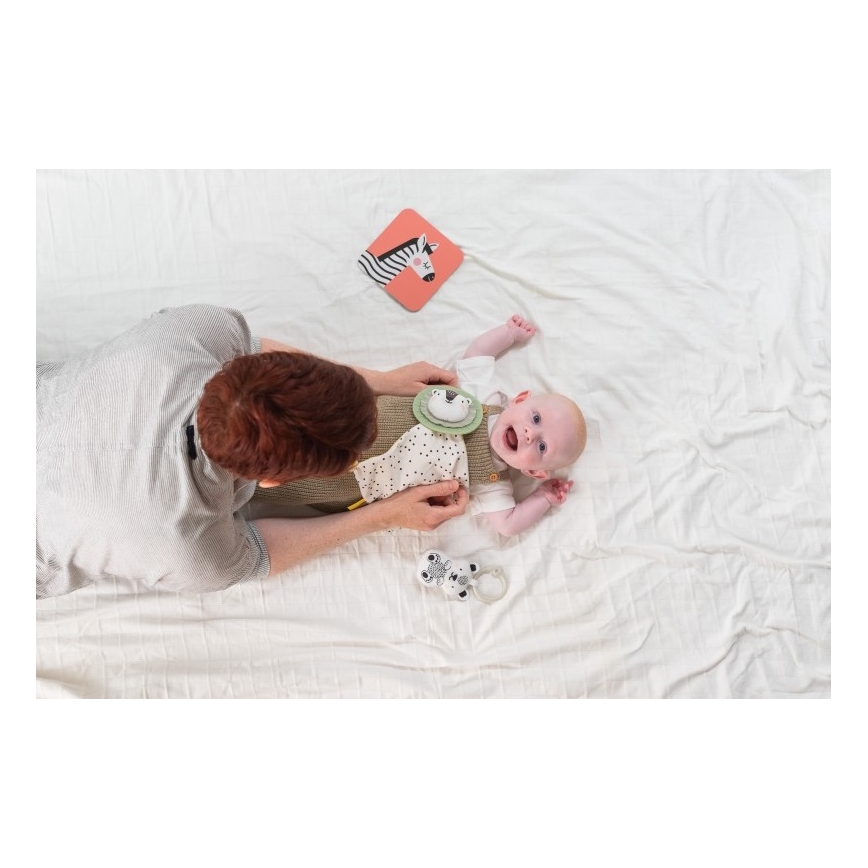 Taf Toys - Lahjarasia HELLO BABY