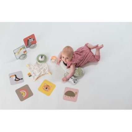 Taf Toys - Lahjarasia HELLO BABY