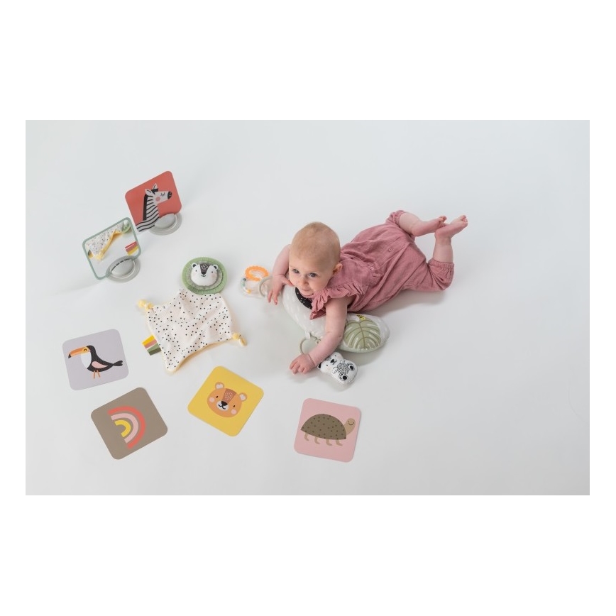 Taf Toys - Lahjarasia HELLO BABY