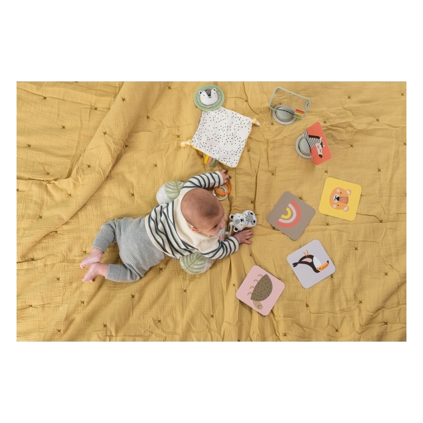Taf Toys - Lahjarasia HELLO BABY