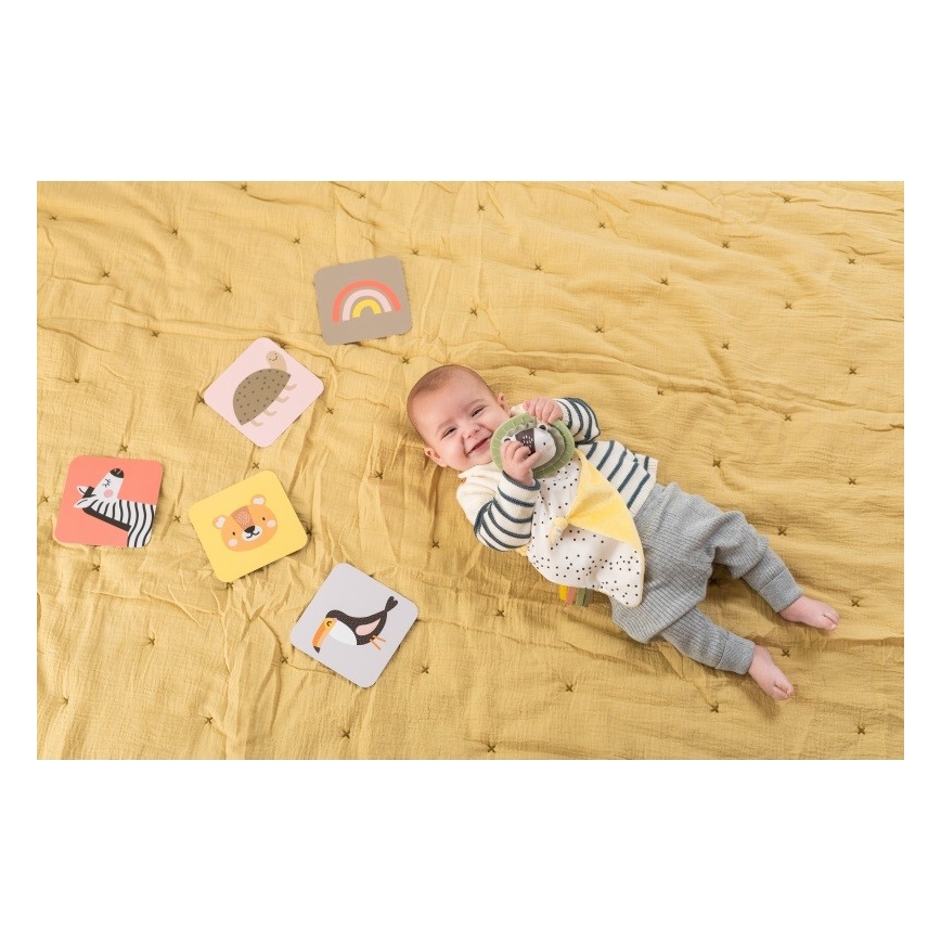Taf Toys - Lahjarasia HELLO BABY