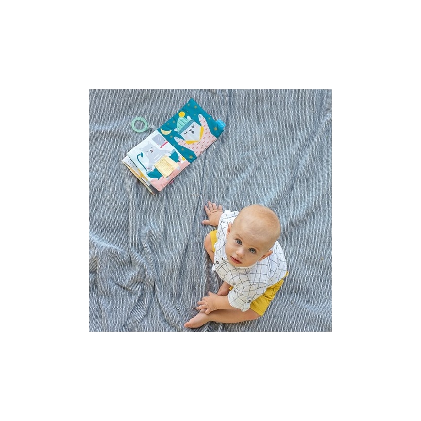 Taf Toys - Lasten tekstiilikirja karhu