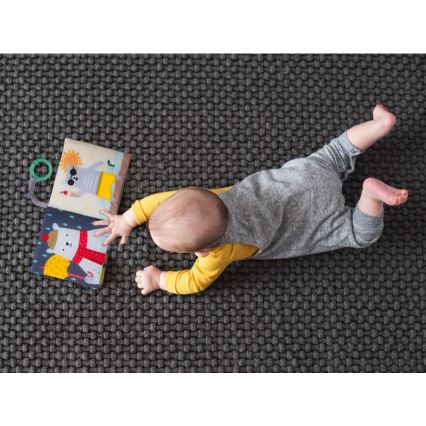 Taf Toys - Lasten tekstiilikirja karhu