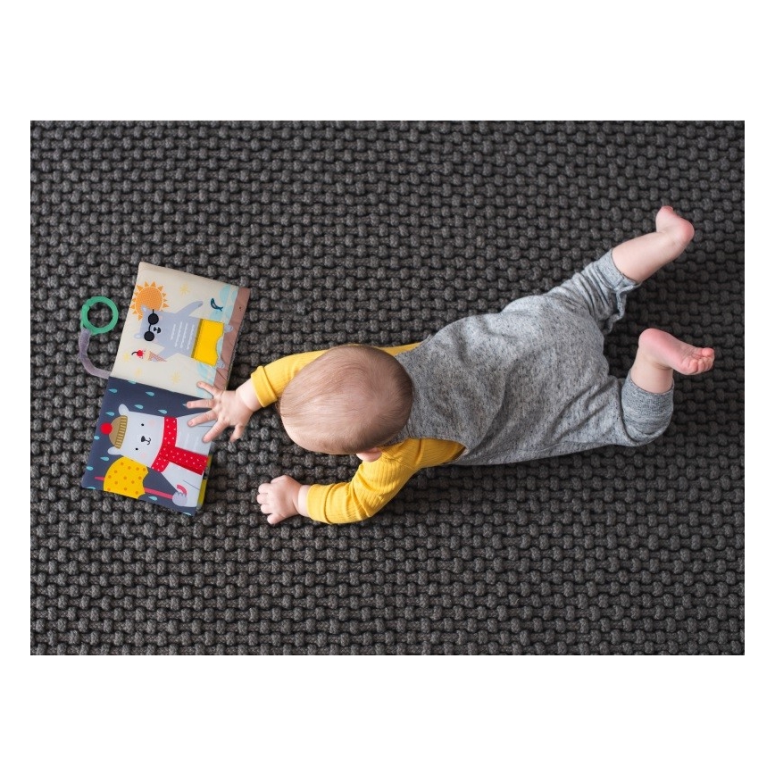 Taf Toys - Lasten tekstiilikirja karhu
