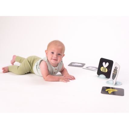 Taf Toys - Maha-aika kortit 18 kpl