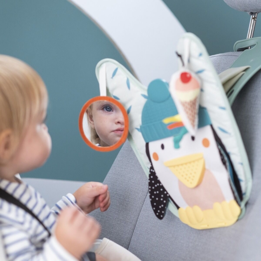Taf Toys - Pingviini leikki- ja potkuautolelu
