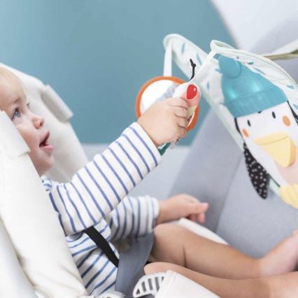 Taf Toys - Pingviini leikki- ja potkuautolelu