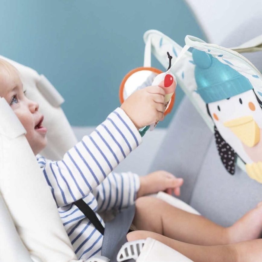 Taf Toys - Pingviini leikki- ja potkuautolelu