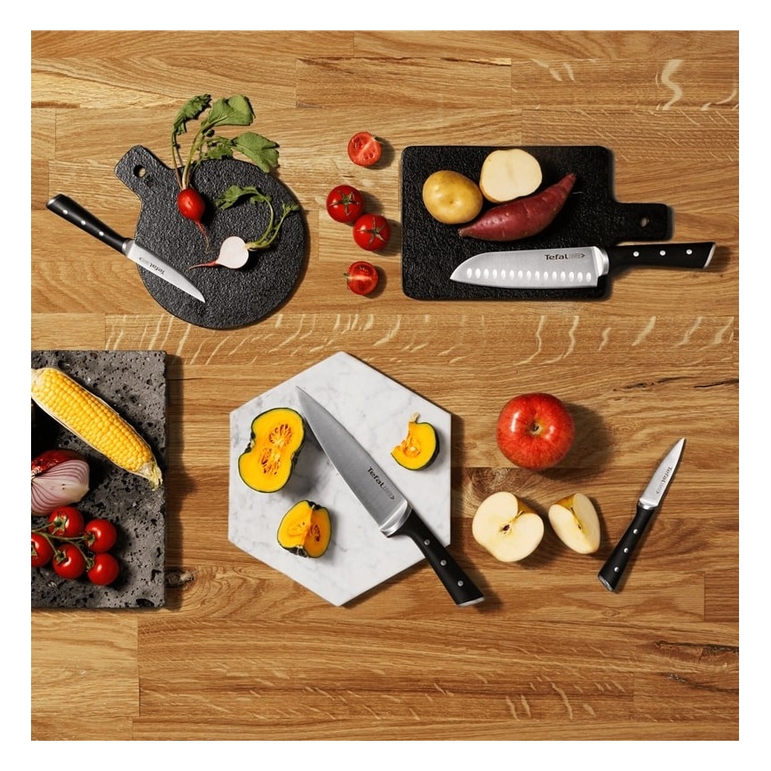 Tefal - Keittiöveitsisarja telineessä ICE FORCE 6 kpl