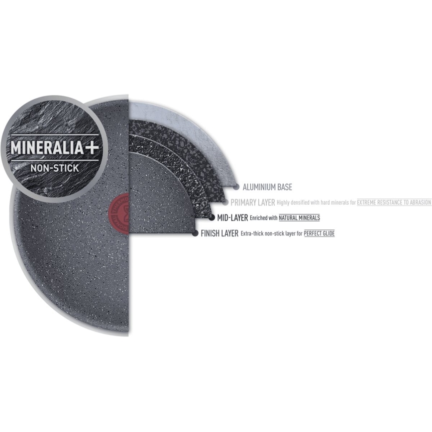 Tefal - Paistinpannu NATURAL FORCE 24 cm