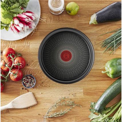 Tefal - Pannu INGENIO Unlimited 24 cm