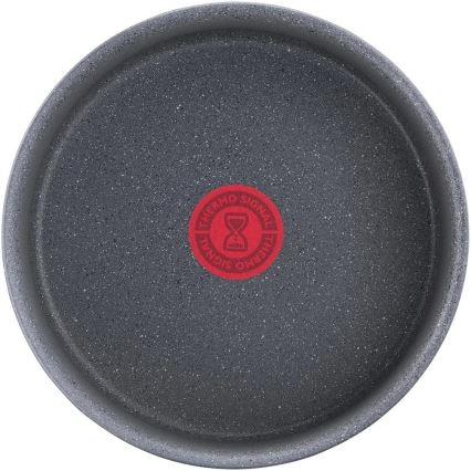 Tefal - Pieni kattila INGENIO NATURAL FORCE 20 cm