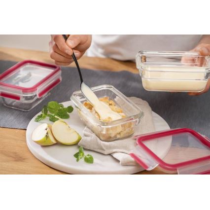 Tefal - Ruokasäiliö 0,45 l MSEAL GLASS punainen/lasi