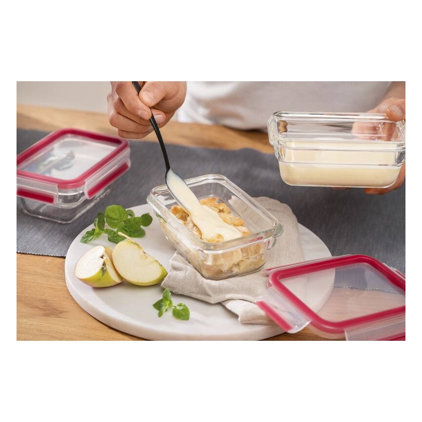 Tefal - Ruokasäiliö 0,45 l MSEAL GLASS punainen/lasi