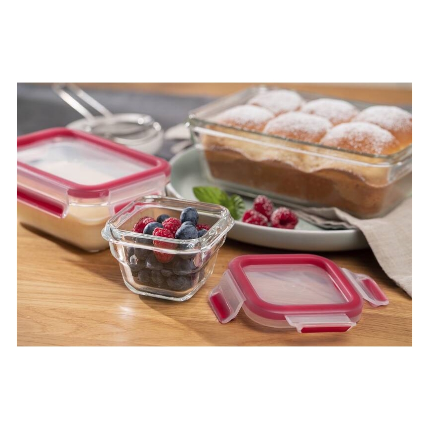 Tefal - Ruokasäiliö 0,45 l MSEAL GLASS punainen/lasi