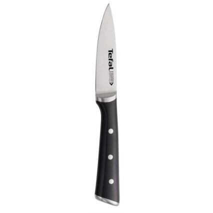 Tefal - Ruostumattomasta teräksestä valmistettu kaiverrusveitsi ICE FORCE 9 cm kiiltävä kromi/musta