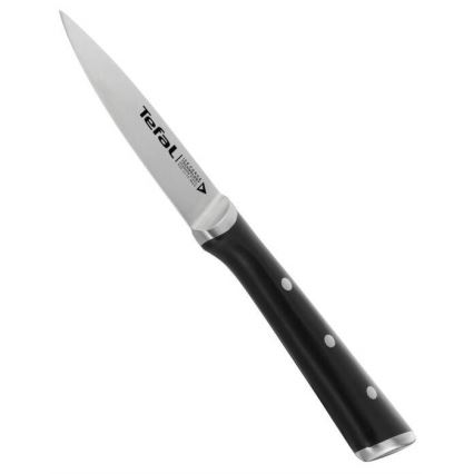 Tefal - Ruostumattomasta teräksestä valmistettu kaiverrusveitsi ICE FORCE 9 cm kiiltävä kromi/musta