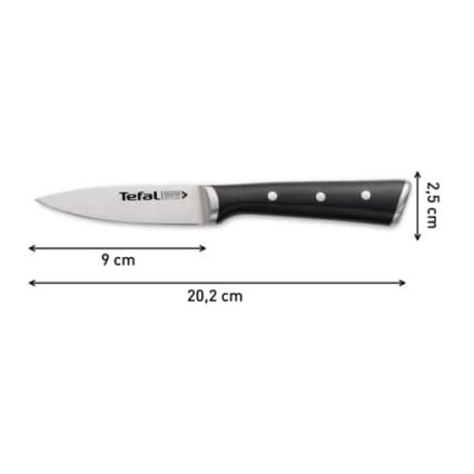 Tefal - Ruostumattomasta teräksestä valmistettu kaiverrusveitsi ICE FORCE 9 cm kiiltävä kromi/musta