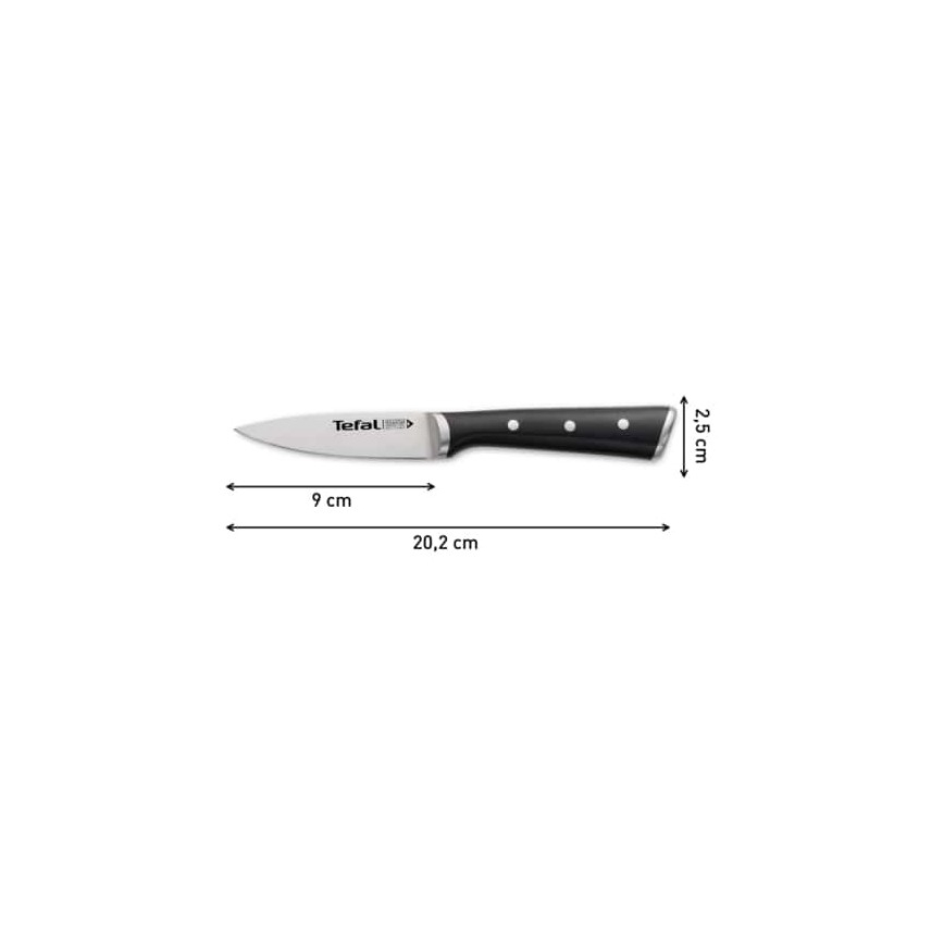 Tefal - Ruostumattomasta teräksestä valmistettu kaiverrusveitsi ICE FORCE 9 cm kiiltävä kromi/musta