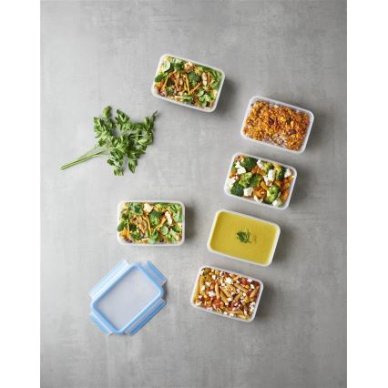 Tefal - SETTI 6x Ruokasäiliö 0,8 l MASTER SEAL FRESH sininen