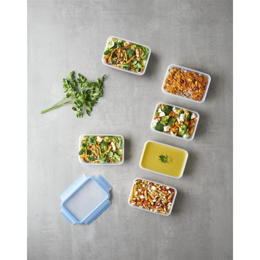 Tefal - SETTI 6x Ruokasäiliö 0,8 l MASTER SEAL FRESH sininen
