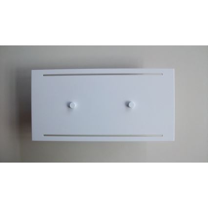 Telefunken 307806TF - LED-ulkoseinävalaisin 2xLED/3,5W/230V IP44 valkoinen
