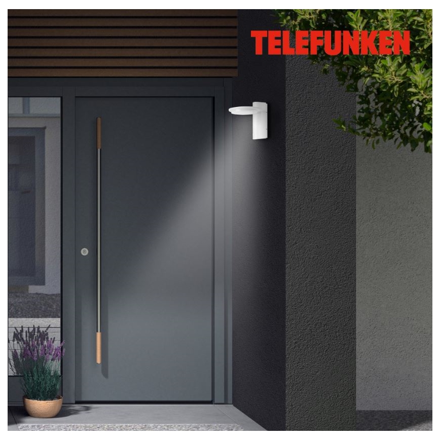 Telefunken 312406TF - LED-ulkoseinävalaisin LED/10W/230V IP44