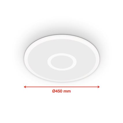 Telefunken 319306TF - LED RGBW Himmennysvalo LED/22W/230V 2700-6500K + kauko-ohjaus