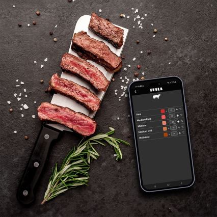 TESLA Electronics Cook - Digitaalinen lihalämpömittari anturin kanssa 0-400 °C 2xAA IP65