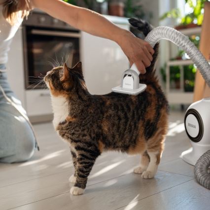 TESLA Electronics PetCare - Lemmikkieläinten hoitosarja 300W/230V