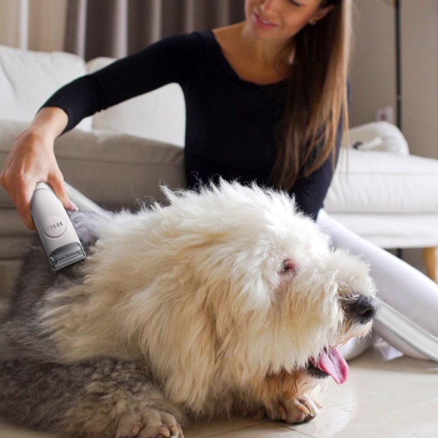 TESLA Electronics PetCare - Lemmikkieläinten hoitosarja 300W/230V