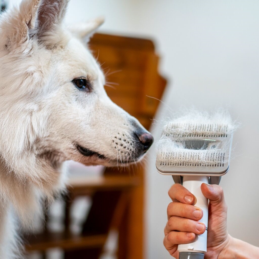 TESLA Electronics PetCare - Lemmikkieläinten hoitosarja 300W/230V
