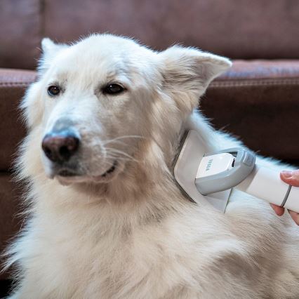 TESLA Electronics PetCare - Lemmikkieläinten hoitosarja 300W/230V