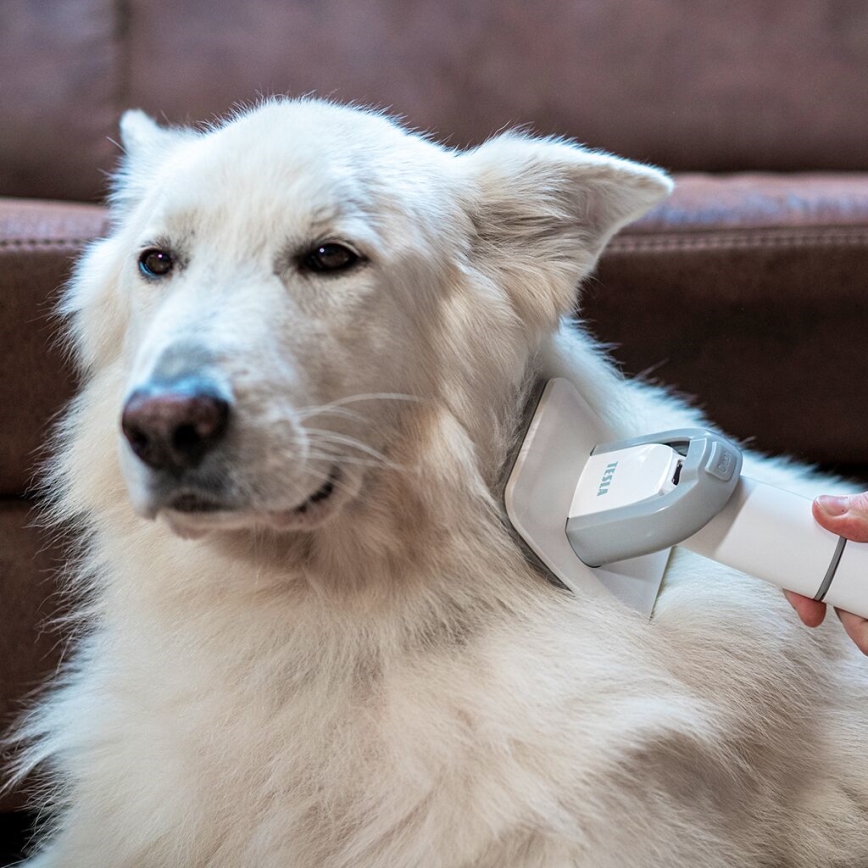 TESLA Electronics PetCare - Lemmikkieläinten hoitosarja 300W/230V